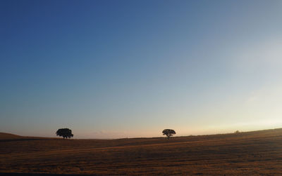 Scenic view of field against clear blue sky