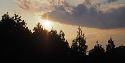 Low angle view of silhouette trees against sky during sunset