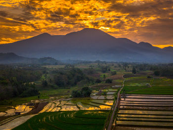 landscape
