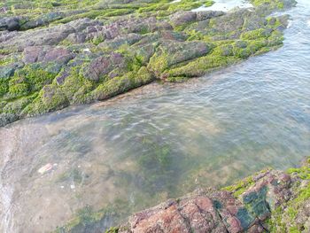 High angle view of rocks by sea