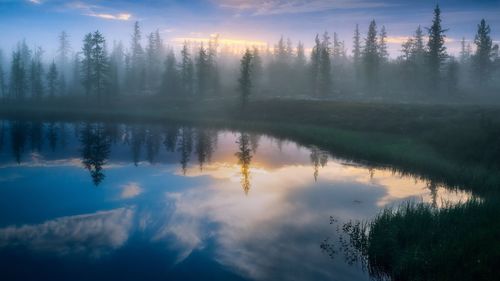 Reflection of trees in lake during sunset