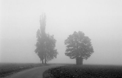 Road amidst trees on field against sky during winter