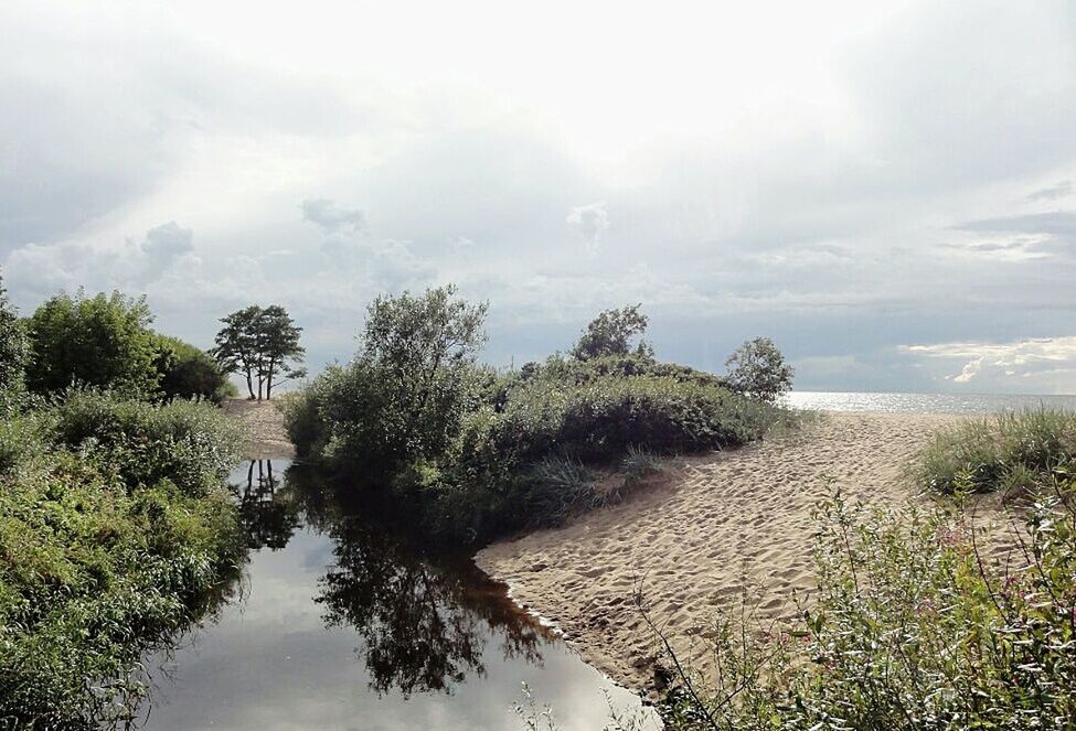 tranquil scene, tranquility, water, sky, scenics, tree, beauty in nature, nature, reflection, growth, cloud - sky, plant, cloud, lake, landscape, idyllic, green color, waterfront, day, non-urban scene