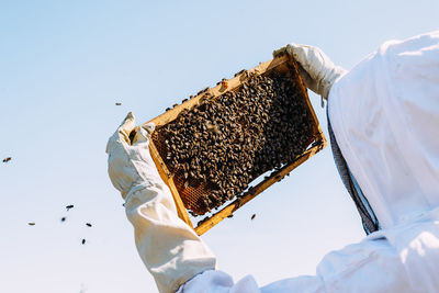 Low angle view of bee on ice cream