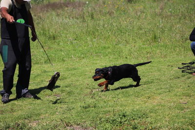 Man running on grassy field