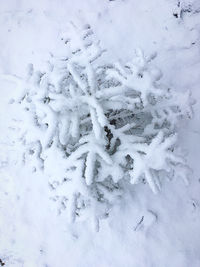 High angle view of snow covered field