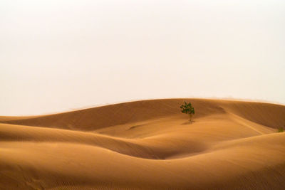 Scenic view of desert against clear sky