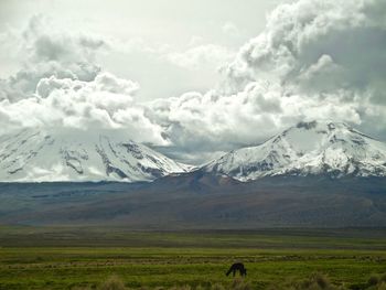 Scenic view of snowcapped mountains