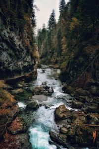 River flowing through rocks in forest