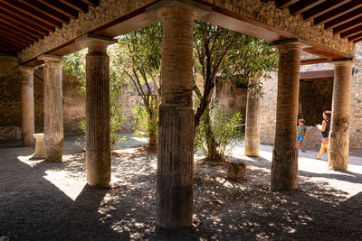 Trees in a building