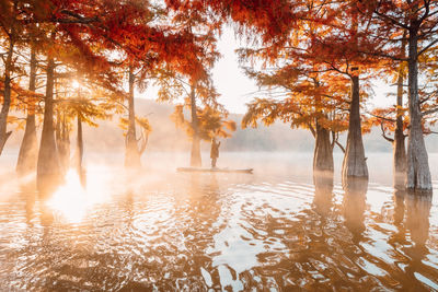 Scenic view of lake during autumn