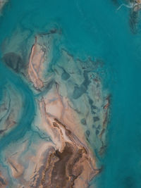 Coastal landscape in patagonia.