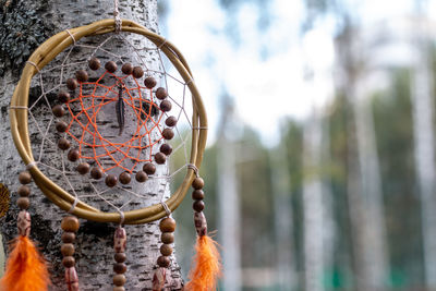 Close-up of dreamcatcher hanging on tree trunk
