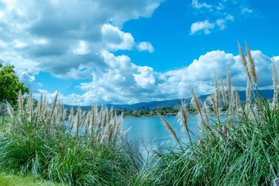 Panoramic view of landscape against sky