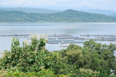 Scenic view of lake by trees against sky