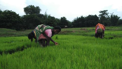 Rear view of girl walking on grassy field