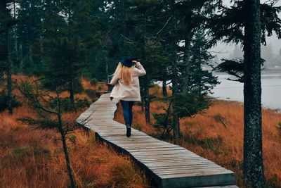 Rear view of woman with umbrella walking on plants