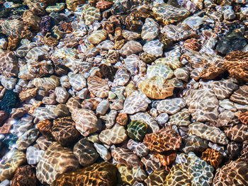 Full frame shot of stones on beach