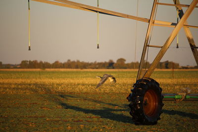 Tractor on field against sky