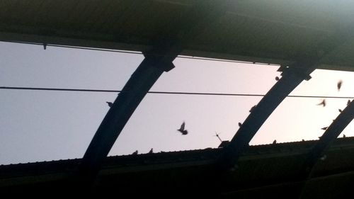 Low angle view of silhouette birds perching on roof against sky