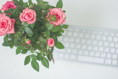 Close-up of pink roses on table