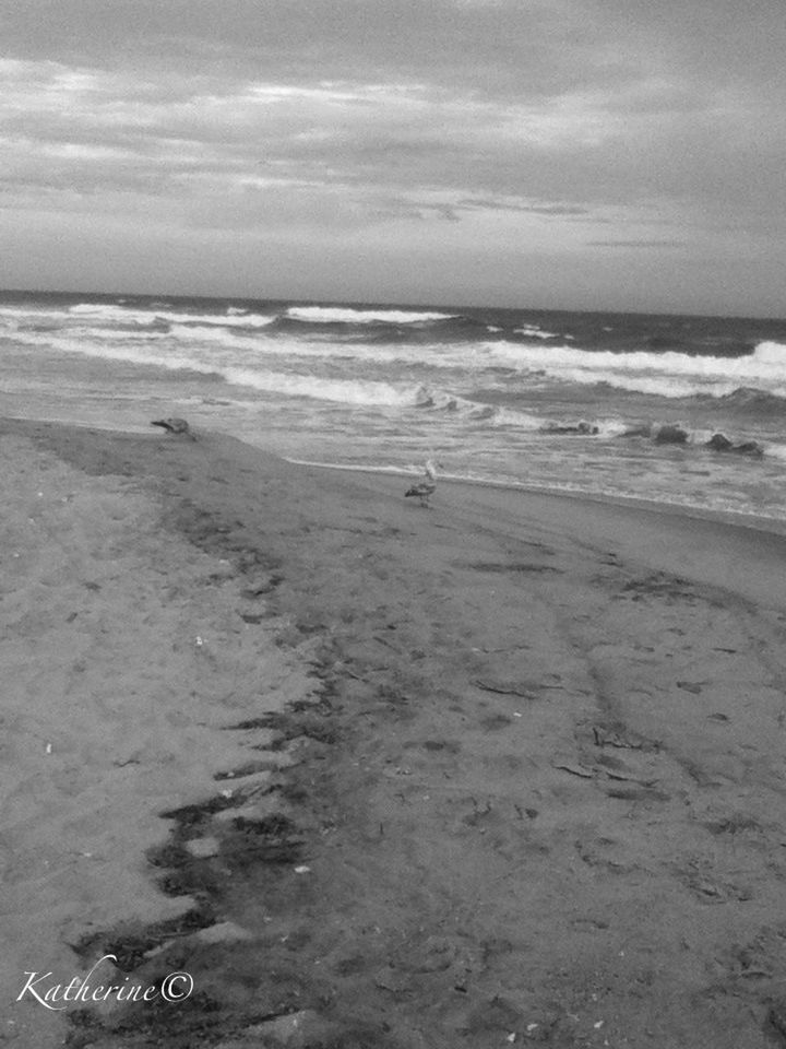 sea, beach, horizon over water, water, shore, sand, sky, wave, tranquility, surf, tranquil scene, scenics, nature, beauty in nature, cloud - sky, coastline, day, idyllic, outdoors, no people