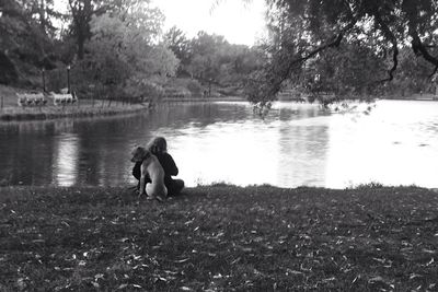 Rear view of dog on lake by trees