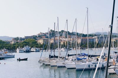 Sailboats in harbor