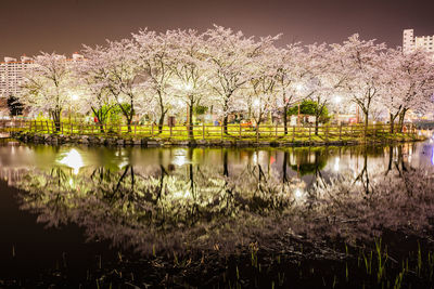 Scenic view of lake by trees against sky