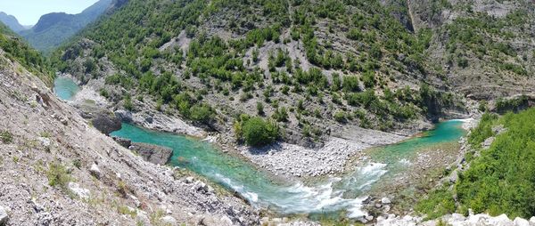 High angle view of river amidst trees