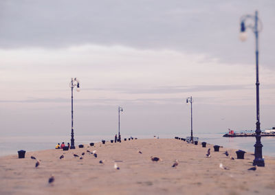 Seagulls on pier against cloudy sky during sunset