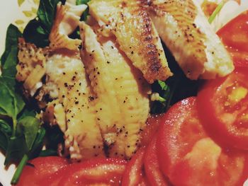 Close-up of meal served in plate