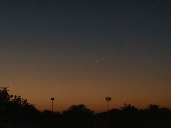 Low angle view of silhouette trees against sky at night