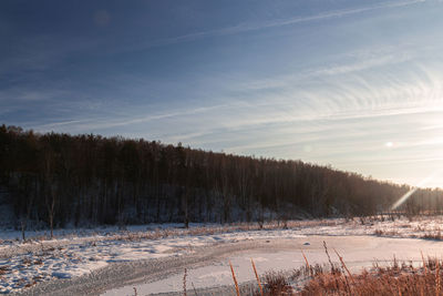 Trees on field against sky during winter