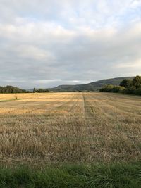 Scenic view of field against sky