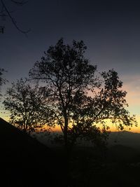 Silhouette tree against sky during sunset