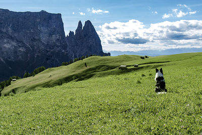 Rear view of dog sitting on grassy by rocky mountains against sky