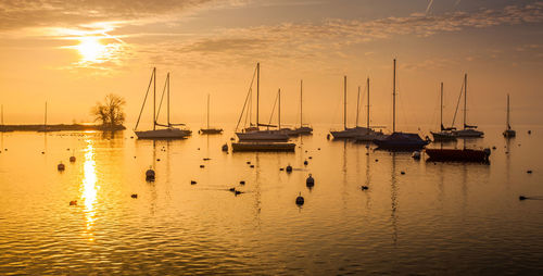 Sailboats moored on sea against sky during sunset