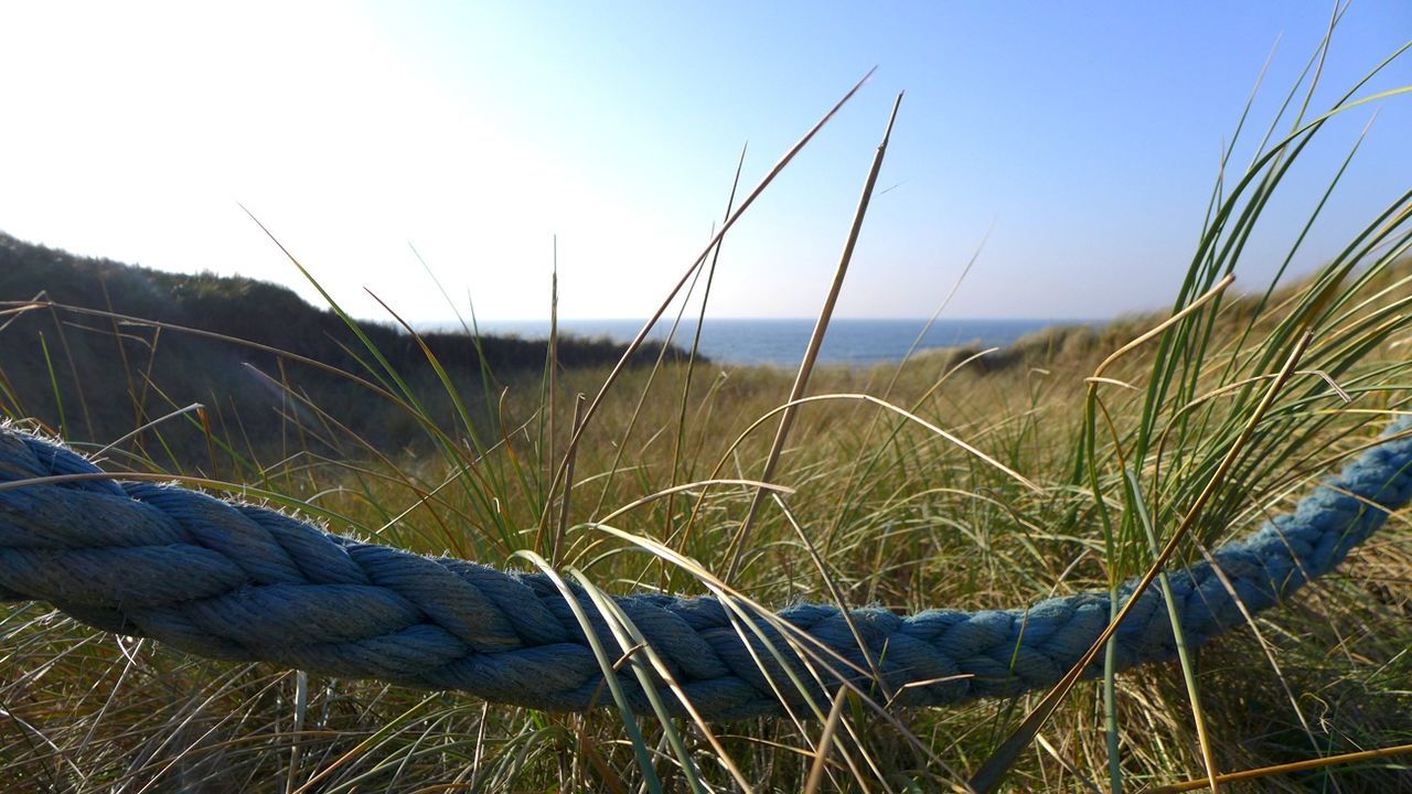 grass, sky, land, plant, nature, field, blue, day, close-up, beauty in nature, growth, water, tranquility, non-urban scene, sea, tranquil scene, outdoors, no people, clear sky, beach