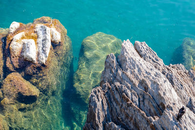 High angle view of rocks on beach