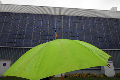 Low angle view of green leaf against building