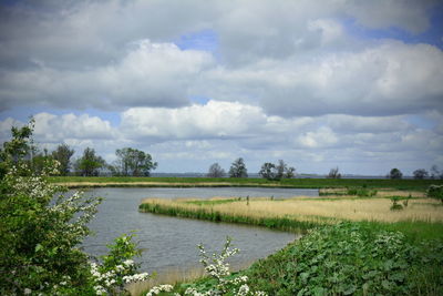 Scenic view of landscape against cloudy sky