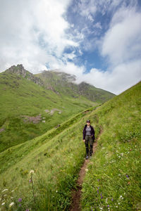 Rear view of man walking on trail