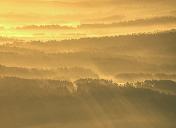 Misty awaking of beautiful fairy valley. peaks of rounded hills cut creamy foggy clouds.