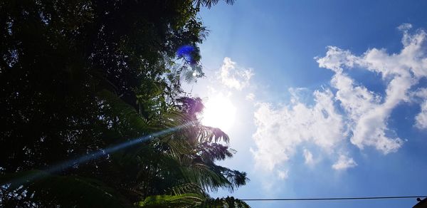 Low angle view of trees against sky