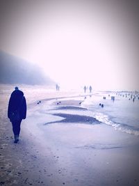 Scenic view of beach