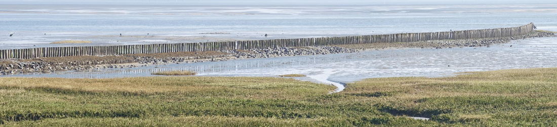 Scenic view of sea shore