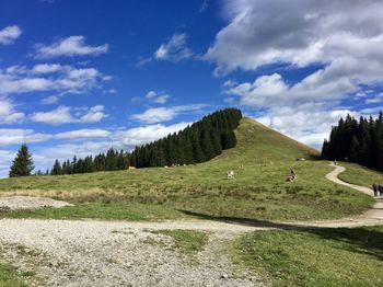 Scenic view of landscape against sky