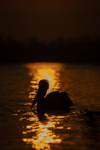 Silhouette woman swimming in lake during sunset