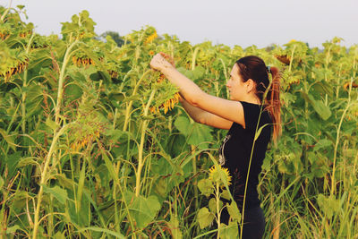 Side view of woman standing by sunflowers at farm